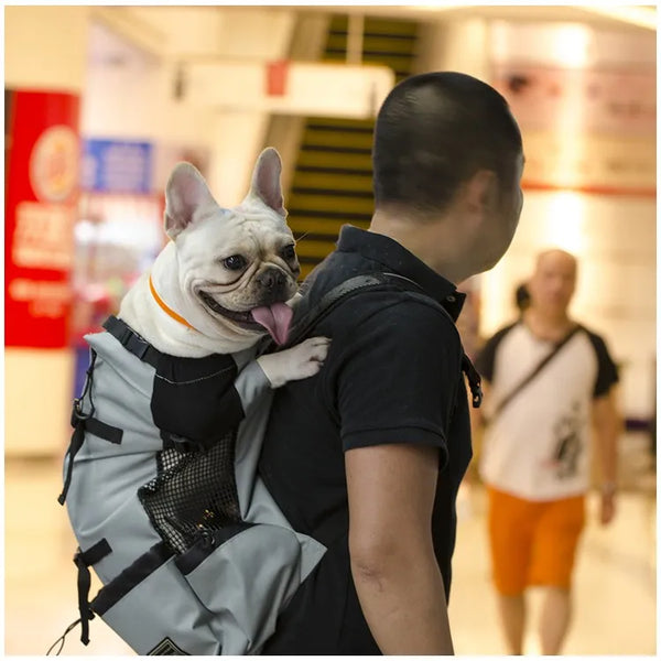 Hiking Pet Dog Carrier Travel Backpack Outdoor Ventilation Breathable