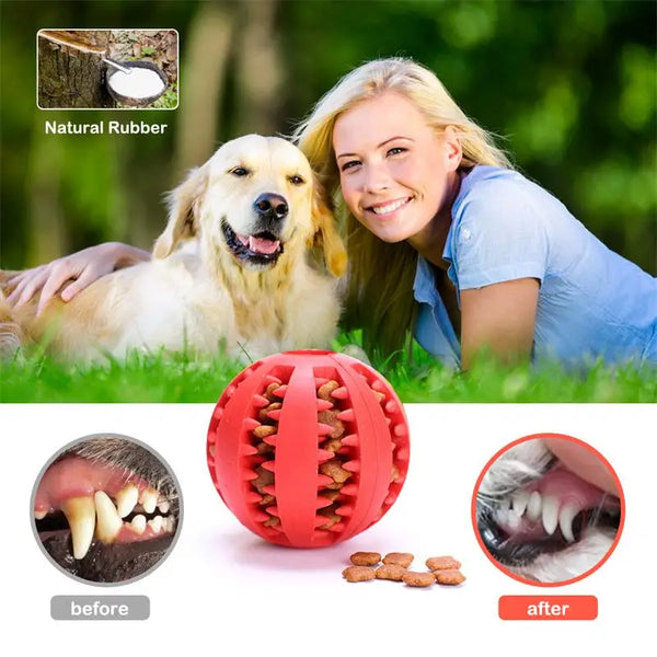 Dog Food Ball Pet Dog Toy Interactive Rubber Balls for Small Large Dogs Puppy Cat Chewing